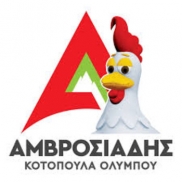 partner-image